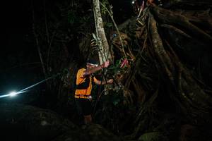 BIB: 
                            <button type="button" onclick="openModal(28098072)" class="btn btn-primary btn-sm float-right btn-popup" data-toggle="modal" data-target=".modal-high-quality">
                        <i class="fas fa-shopping-cart"></i> Add to Cart
                    </button>
                                            <button type="button" onclick="isThisMe(28098072, true)" class="btn btn-success btn-sm float-right btn-popup btn-isme hidden" data-toggle="tooltip" data-placement="bottom" title="นี่คือรูปของคุณใช่ไหม คลิกที่นี่เพื่อเอาเข้าอัลบั้ม">
                        <i class="fas fa-plus"></i> Add to album
                    </button>
                    <button type="button" onclick="isThisMe(28098072, false)" class="btn btn-warning btn-sm float-right btn-popup btn-isnotme hidden">
                        <i class="fas fa-ban"></i> Remove from album
                    </button>