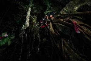 BIB: 
                            <button type="button" onclick="openModal(28098880)" class="btn btn-primary btn-sm float-right btn-popup" data-toggle="modal" data-target=".modal-high-quality">
                        <i class="fas fa-shopping-cart"></i> Add to Cart
                    </button>
                                            <button type="button" onclick="isThisMe(28098880, true)" class="btn btn-success btn-sm float-right btn-popup btn-isme hidden" data-toggle="tooltip" data-placement="bottom" title="นี่คือรูปของคุณใช่ไหม คลิกที่นี่เพื่อเอาเข้าอัลบั้ม">
                        <i class="fas fa-plus"></i> Add to album
                    </button>
                    <button type="button" onclick="isThisMe(28098880, false)" class="btn btn-warning btn-sm float-right btn-popup btn-isnotme hidden">
                        <i class="fas fa-ban"></i> Remove from album
                    </button>