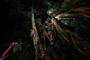 BIB: 
                            <button type="button" onclick="openModal(28097155)" class="btn btn-primary btn-sm float-right btn-popup" data-toggle="modal" data-target=".modal-high-quality">
                        <i class="fas fa-shopping-cart"></i> Add to Cart
                    </button>
                                            <button type="button" onclick="isThisMe(28097155, true)" class="btn btn-success btn-sm float-right btn-popup btn-isme hidden" data-toggle="tooltip" data-placement="bottom" title="นี่คือรูปของคุณใช่ไหม คลิกที่นี่เพื่อเอาเข้าอัลบั้ม">
                        <i class="fas fa-plus"></i> Add to album
                    </button>
                    <button type="button" onclick="isThisMe(28097155, false)" class="btn btn-warning btn-sm float-right btn-popup btn-isnotme hidden">
                        <i class="fas fa-ban"></i> Remove from album
                    </button>