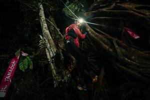 BIB: 
                            <button type="button" onclick="openModal(28097421)" class="btn btn-primary btn-sm float-right btn-popup" data-toggle="modal" data-target=".modal-high-quality">
                        <i class="fas fa-shopping-cart"></i> Add to Cart
                    </button>
                                            <button type="button" onclick="isThisMe(28097421, true)" class="btn btn-success btn-sm float-right btn-popup btn-isme hidden" data-toggle="tooltip" data-placement="bottom" title="นี่คือรูปของคุณใช่ไหม คลิกที่นี่เพื่อเอาเข้าอัลบั้ม">
                        <i class="fas fa-plus"></i> Add to album
                    </button>
                    <button type="button" onclick="isThisMe(28097421, false)" class="btn btn-warning btn-sm float-right btn-popup btn-isnotme hidden">
                        <i class="fas fa-ban"></i> Remove from album
                    </button>