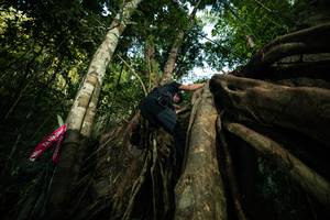 BIB: 
                            <button type="button" onclick="openModal(28096695)" class="btn btn-primary btn-sm float-right btn-popup" data-toggle="modal" data-target=".modal-high-quality">
                        <i class="fas fa-shopping-cart"></i> Add to Cart
                    </button>
                                            <button type="button" onclick="isThisMe(28096695, true)" class="btn btn-success btn-sm float-right btn-popup btn-isme hidden" data-toggle="tooltip" data-placement="bottom" title="นี่คือรูปของคุณใช่ไหม คลิกที่นี่เพื่อเอาเข้าอัลบั้ม">
                        <i class="fas fa-plus"></i> Add to album
                    </button>
                    <button type="button" onclick="isThisMe(28096695, false)" class="btn btn-warning btn-sm float-right btn-popup btn-isnotme hidden">
                        <i class="fas fa-ban"></i> Remove from album
                    </button>