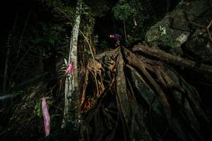 BIB: 
                            <button type="button" onclick="openModal(28096998)" class="btn btn-primary btn-sm float-right btn-popup" data-toggle="modal" data-target=".modal-high-quality">
                        <i class="fas fa-shopping-cart"></i> Add to Cart
                    </button>
                                            <button type="button" onclick="isThisMe(28096998, true)" class="btn btn-success btn-sm float-right btn-popup btn-isme hidden" data-toggle="tooltip" data-placement="bottom" title="นี่คือรูปของคุณใช่ไหม คลิกที่นี่เพื่อเอาเข้าอัลบั้ม">
                        <i class="fas fa-plus"></i> Add to album
                    </button>
                    <button type="button" onclick="isThisMe(28096998, false)" class="btn btn-warning btn-sm float-right btn-popup btn-isnotme hidden">
                        <i class="fas fa-ban"></i> Remove from album
                    </button>