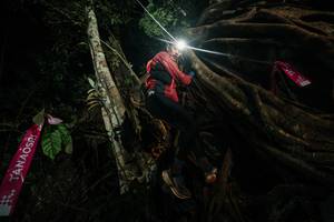 BIB: 
                            <button type="button" onclick="openModal(28097422)" class="btn btn-primary btn-sm float-right btn-popup" data-toggle="modal" data-target=".modal-high-quality">
                        <i class="fas fa-shopping-cart"></i> Add to Cart
                    </button>
                                            <button type="button" onclick="isThisMe(28097422, true)" class="btn btn-success btn-sm float-right btn-popup btn-isme hidden" data-toggle="tooltip" data-placement="bottom" title="นี่คือรูปของคุณใช่ไหม คลิกที่นี่เพื่อเอาเข้าอัลบั้ม">
                        <i class="fas fa-plus"></i> Add to album
                    </button>
                    <button type="button" onclick="isThisMe(28097422, false)" class="btn btn-warning btn-sm float-right btn-popup btn-isnotme hidden">
                        <i class="fas fa-ban"></i> Remove from album
                    </button>