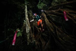 BIB: 
                            <button type="button" onclick="openModal(28098392)" class="btn btn-primary btn-sm float-right btn-popup" data-toggle="modal" data-target=".modal-high-quality">
                        <i class="fas fa-shopping-cart"></i> Add to Cart
                    </button>
                                            <button type="button" onclick="isThisMe(28098392, true)" class="btn btn-success btn-sm float-right btn-popup btn-isme hidden" data-toggle="tooltip" data-placement="bottom" title="นี่คือรูปของคุณใช่ไหม คลิกที่นี่เพื่อเอาเข้าอัลบั้ม">
                        <i class="fas fa-plus"></i> Add to album
                    </button>
                    <button type="button" onclick="isThisMe(28098392, false)" class="btn btn-warning btn-sm float-right btn-popup btn-isnotme hidden">
                        <i class="fas fa-ban"></i> Remove from album
                    </button>