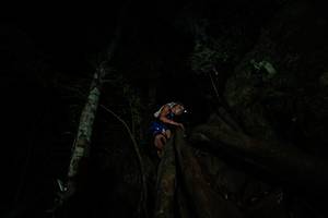 BIB: 
                            <button type="button" onclick="openModal(28097696)" class="btn btn-primary btn-sm float-right btn-popup" data-toggle="modal" data-target=".modal-high-quality">
                        <i class="fas fa-shopping-cart"></i> Add to Cart
                    </button>
                                            <button type="button" onclick="isThisMe(28097696, true)" class="btn btn-success btn-sm float-right btn-popup btn-isme hidden" data-toggle="tooltip" data-placement="bottom" title="นี่คือรูปของคุณใช่ไหม คลิกที่นี่เพื่อเอาเข้าอัลบั้ม">
                        <i class="fas fa-plus"></i> Add to album
                    </button>
                    <button type="button" onclick="isThisMe(28097696, false)" class="btn btn-warning btn-sm float-right btn-popup btn-isnotme hidden">
                        <i class="fas fa-ban"></i> Remove from album
                    </button>