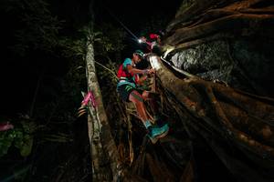 BIB: 
                            <button type="button" onclick="openModal(28097152)" class="btn btn-primary btn-sm float-right btn-popup" data-toggle="modal" data-target=".modal-high-quality">
                        <i class="fas fa-shopping-cart"></i> Add to Cart
                    </button>
                                            <button type="button" onclick="isThisMe(28097152, true)" class="btn btn-success btn-sm float-right btn-popup btn-isme hidden" data-toggle="tooltip" data-placement="bottom" title="นี่คือรูปของคุณใช่ไหม คลิกที่นี่เพื่อเอาเข้าอัลบั้ม">
                        <i class="fas fa-plus"></i> Add to album
                    </button>
                    <button type="button" onclick="isThisMe(28097152, false)" class="btn btn-warning btn-sm float-right btn-popup btn-isnotme hidden">
                        <i class="fas fa-ban"></i> Remove from album
                    </button>