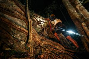 BIB: 
                            <button type="button" onclick="openModal(28097089)" class="btn btn-primary btn-sm float-right btn-popup" data-toggle="modal" data-target=".modal-high-quality">
                        <i class="fas fa-shopping-cart"></i> Add to Cart
                    </button>
                                            <button type="button" onclick="isThisMe(28097089, true)" class="btn btn-success btn-sm float-right btn-popup btn-isme hidden" data-toggle="tooltip" data-placement="bottom" title="นี่คือรูปของคุณใช่ไหม คลิกที่นี่เพื่อเอาเข้าอัลบั้ม">
                        <i class="fas fa-plus"></i> Add to album
                    </button>
                    <button type="button" onclick="isThisMe(28097089, false)" class="btn btn-warning btn-sm float-right btn-popup btn-isnotme hidden">
                        <i class="fas fa-ban"></i> Remove from album
                    </button>