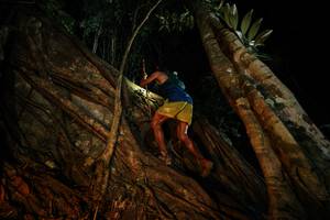 BIB: 
                            <button type="button" onclick="openModal(28097459)" class="btn btn-primary btn-sm float-right btn-popup" data-toggle="modal" data-target=".modal-high-quality">
                        <i class="fas fa-shopping-cart"></i> Add to Cart
                    </button>
                                            <button type="button" onclick="isThisMe(28097459, true)" class="btn btn-success btn-sm float-right btn-popup btn-isme hidden" data-toggle="tooltip" data-placement="bottom" title="นี่คือรูปของคุณใช่ไหม คลิกที่นี่เพื่อเอาเข้าอัลบั้ม">
                        <i class="fas fa-plus"></i> Add to album
                    </button>
                    <button type="button" onclick="isThisMe(28097459, false)" class="btn btn-warning btn-sm float-right btn-popup btn-isnotme hidden">
                        <i class="fas fa-ban"></i> Remove from album
                    </button>