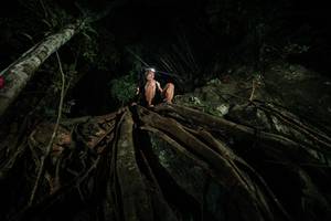 BIB: 
                            <button type="button" onclick="openModal(28097019)" class="btn btn-primary btn-sm float-right btn-popup" data-toggle="modal" data-target=".modal-high-quality">
                        <i class="fas fa-shopping-cart"></i> Add to Cart
                    </button>
                                            <button type="button" onclick="isThisMe(28097019, true)" class="btn btn-success btn-sm float-right btn-popup btn-isme hidden" data-toggle="tooltip" data-placement="bottom" title="นี่คือรูปของคุณใช่ไหม คลิกที่นี่เพื่อเอาเข้าอัลบั้ม">
                        <i class="fas fa-plus"></i> Add to album
                    </button>
                    <button type="button" onclick="isThisMe(28097019, false)" class="btn btn-warning btn-sm float-right btn-popup btn-isnotme hidden">
                        <i class="fas fa-ban"></i> Remove from album
                    </button>