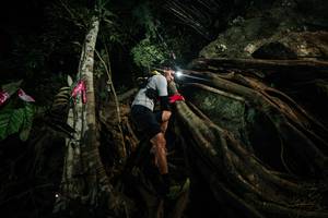 BIB: 
                            <button type="button" onclick="openModal(28097229)" class="btn btn-primary btn-sm float-right btn-popup" data-toggle="modal" data-target=".modal-high-quality">
                        <i class="fas fa-shopping-cart"></i> Add to Cart
                    </button>
                                            <button type="button" onclick="isThisMe(28097229, true)" class="btn btn-success btn-sm float-right btn-popup btn-isme hidden" data-toggle="tooltip" data-placement="bottom" title="นี่คือรูปของคุณใช่ไหม คลิกที่นี่เพื่อเอาเข้าอัลบั้ม">
                        <i class="fas fa-plus"></i> Add to album
                    </button>
                    <button type="button" onclick="isThisMe(28097229, false)" class="btn btn-warning btn-sm float-right btn-popup btn-isnotme hidden">
                        <i class="fas fa-ban"></i> Remove from album
                    </button>