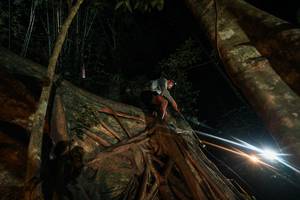 BIB: 
                            <button type="button" onclick="openModal(28097083)" class="btn btn-primary btn-sm float-right btn-popup" data-toggle="modal" data-target=".modal-high-quality">
                        <i class="fas fa-shopping-cart"></i> Add to Cart
                    </button>
                                            <button type="button" onclick="isThisMe(28097083, true)" class="btn btn-success btn-sm float-right btn-popup btn-isme hidden" data-toggle="tooltip" data-placement="bottom" title="นี่คือรูปของคุณใช่ไหม คลิกที่นี่เพื่อเอาเข้าอัลบั้ม">
                        <i class="fas fa-plus"></i> Add to album
                    </button>
                    <button type="button" onclick="isThisMe(28097083, false)" class="btn btn-warning btn-sm float-right btn-popup btn-isnotme hidden">
                        <i class="fas fa-ban"></i> Remove from album
                    </button>