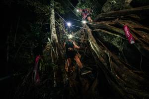 BIB: 
                            <button type="button" onclick="openModal(28098120)" class="btn btn-primary btn-sm float-right btn-popup" data-toggle="modal" data-target=".modal-high-quality">
                        <i class="fas fa-shopping-cart"></i> Add to Cart
                    </button>
                                            <button type="button" onclick="isThisMe(28098120, true)" class="btn btn-success btn-sm float-right btn-popup btn-isme hidden" data-toggle="tooltip" data-placement="bottom" title="นี่คือรูปของคุณใช่ไหม คลิกที่นี่เพื่อเอาเข้าอัลบั้ม">
                        <i class="fas fa-plus"></i> Add to album
                    </button>
                    <button type="button" onclick="isThisMe(28098120, false)" class="btn btn-warning btn-sm float-right btn-popup btn-isnotme hidden">
                        <i class="fas fa-ban"></i> Remove from album
                    </button>