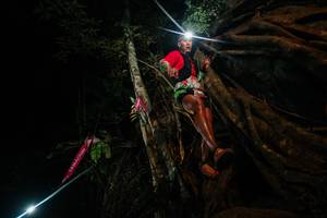 BIB: 
                            <button type="button" onclick="openModal(28097183)" class="btn btn-primary btn-sm float-right btn-popup" data-toggle="modal" data-target=".modal-high-quality">
                        <i class="fas fa-shopping-cart"></i> Add to Cart
                    </button>
                                            <button type="button" onclick="isThisMe(28097183, true)" class="btn btn-success btn-sm float-right btn-popup btn-isme hidden" data-toggle="tooltip" data-placement="bottom" title="นี่คือรูปของคุณใช่ไหม คลิกที่นี่เพื่อเอาเข้าอัลบั้ม">
                        <i class="fas fa-plus"></i> Add to album
                    </button>
                    <button type="button" onclick="isThisMe(28097183, false)" class="btn btn-warning btn-sm float-right btn-popup btn-isnotme hidden">
                        <i class="fas fa-ban"></i> Remove from album
                    </button>