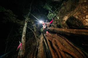 BIB: 
                            <button type="button" onclick="openModal(28097073)" class="btn btn-primary btn-sm float-right btn-popup" data-toggle="modal" data-target=".modal-high-quality">
                        <i class="fas fa-shopping-cart"></i> Add to Cart
                    </button>
                                            <button type="button" onclick="isThisMe(28097073, true)" class="btn btn-success btn-sm float-right btn-popup btn-isme hidden" data-toggle="tooltip" data-placement="bottom" title="นี่คือรูปของคุณใช่ไหม คลิกที่นี่เพื่อเอาเข้าอัลบั้ม">
                        <i class="fas fa-plus"></i> Add to album
                    </button>
                    <button type="button" onclick="isThisMe(28097073, false)" class="btn btn-warning btn-sm float-right btn-popup btn-isnotme hidden">
                        <i class="fas fa-ban"></i> Remove from album
                    </button>