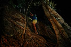 BIB: 
                            <button type="button" onclick="openModal(28097444)" class="btn btn-primary btn-sm float-right btn-popup" data-toggle="modal" data-target=".modal-high-quality">
                        <i class="fas fa-shopping-cart"></i> Add to Cart
                    </button>
                                            <button type="button" onclick="isThisMe(28097444, true)" class="btn btn-success btn-sm float-right btn-popup btn-isme hidden" data-toggle="tooltip" data-placement="bottom" title="นี่คือรูปของคุณใช่ไหม คลิกที่นี่เพื่อเอาเข้าอัลบั้ม">
                        <i class="fas fa-plus"></i> Add to album
                    </button>
                    <button type="button" onclick="isThisMe(28097444, false)" class="btn btn-warning btn-sm float-right btn-popup btn-isnotme hidden">
                        <i class="fas fa-ban"></i> Remove from album
                    </button>