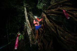 BIB: 
                            <button type="button" onclick="openModal(28098176)" class="btn btn-primary btn-sm float-right btn-popup" data-toggle="modal" data-target=".modal-high-quality">
                        <i class="fas fa-shopping-cart"></i> Add to Cart
                    </button>
                                            <button type="button" onclick="isThisMe(28098176, true)" class="btn btn-success btn-sm float-right btn-popup btn-isme hidden" data-toggle="tooltip" data-placement="bottom" title="นี่คือรูปของคุณใช่ไหม คลิกที่นี่เพื่อเอาเข้าอัลบั้ม">
                        <i class="fas fa-plus"></i> Add to album
                    </button>
                    <button type="button" onclick="isThisMe(28098176, false)" class="btn btn-warning btn-sm float-right btn-popup btn-isnotme hidden">
                        <i class="fas fa-ban"></i> Remove from album
                    </button>