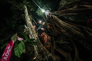 BIB: 
                            <button type="button" onclick="openModal(28097484)" class="btn btn-primary btn-sm float-right btn-popup" data-toggle="modal" data-target=".modal-high-quality">
                        <i class="fas fa-shopping-cart"></i> Add to Cart
                    </button>
                                            <button type="button" onclick="isThisMe(28097484, true)" class="btn btn-success btn-sm float-right btn-popup btn-isme hidden" data-toggle="tooltip" data-placement="bottom" title="นี่คือรูปของคุณใช่ไหม คลิกที่นี่เพื่อเอาเข้าอัลบั้ม">
                        <i class="fas fa-plus"></i> Add to album
                    </button>
                    <button type="button" onclick="isThisMe(28097484, false)" class="btn btn-warning btn-sm float-right btn-popup btn-isnotme hidden">
                        <i class="fas fa-ban"></i> Remove from album
                    </button>