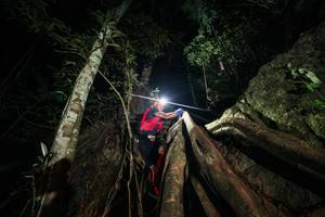 BIB: 
                            <button type="button" onclick="openModal(28098152)" class="btn btn-primary btn-sm float-right btn-popup" data-toggle="modal" data-target=".modal-high-quality">
                        <i class="fas fa-shopping-cart"></i> Add to Cart
                    </button>
                                            <button type="button" onclick="isThisMe(28098152, true)" class="btn btn-success btn-sm float-right btn-popup btn-isme hidden" data-toggle="tooltip" data-placement="bottom" title="นี่คือรูปของคุณใช่ไหม คลิกที่นี่เพื่อเอาเข้าอัลบั้ม">
                        <i class="fas fa-plus"></i> Add to album
                    </button>
                    <button type="button" onclick="isThisMe(28098152, false)" class="btn btn-warning btn-sm float-right btn-popup btn-isnotme hidden">
                        <i class="fas fa-ban"></i> Remove from album
                    </button>