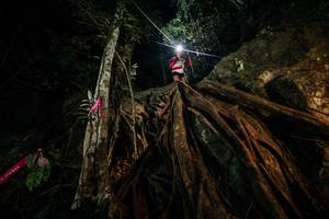 BIB: 
                            <button type="button" onclick="openModal(28097053)" class="btn btn-primary btn-sm float-right btn-popup" data-toggle="modal" data-target=".modal-high-quality">
                        <i class="fas fa-shopping-cart"></i> Add to Cart
                    </button>
                                            <button type="button" onclick="isThisMe(28097053, true)" class="btn btn-success btn-sm float-right btn-popup btn-isme hidden" data-toggle="tooltip" data-placement="bottom" title="นี่คือรูปของคุณใช่ไหม คลิกที่นี่เพื่อเอาเข้าอัลบั้ม">
                        <i class="fas fa-plus"></i> Add to album
                    </button>
                    <button type="button" onclick="isThisMe(28097053, false)" class="btn btn-warning btn-sm float-right btn-popup btn-isnotme hidden">
                        <i class="fas fa-ban"></i> Remove from album
                    </button>