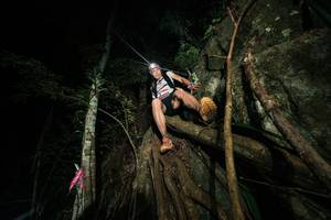 BIB: 
                            <button type="button" onclick="openModal(28097036)" class="btn btn-primary btn-sm float-right btn-popup" data-toggle="modal" data-target=".modal-high-quality">
                        <i class="fas fa-shopping-cart"></i> Add to Cart
                    </button>
                                            <button type="button" onclick="isThisMe(28097036, true)" class="btn btn-success btn-sm float-right btn-popup btn-isme hidden" data-toggle="tooltip" data-placement="bottom" title="นี่คือรูปของคุณใช่ไหม คลิกที่นี่เพื่อเอาเข้าอัลบั้ม">
                        <i class="fas fa-plus"></i> Add to album
                    </button>
                    <button type="button" onclick="isThisMe(28097036, false)" class="btn btn-warning btn-sm float-right btn-popup btn-isnotme hidden">
                        <i class="fas fa-ban"></i> Remove from album
                    </button>