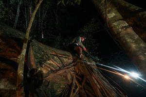 BIB: 
                            <button type="button" onclick="openModal(28097085)" class="btn btn-primary btn-sm float-right btn-popup" data-toggle="modal" data-target=".modal-high-quality">
                        <i class="fas fa-shopping-cart"></i> Add to Cart
                    </button>
                                            <button type="button" onclick="isThisMe(28097085, true)" class="btn btn-success btn-sm float-right btn-popup btn-isme hidden" data-toggle="tooltip" data-placement="bottom" title="นี่คือรูปของคุณใช่ไหม คลิกที่นี่เพื่อเอาเข้าอัลบั้ม">
                        <i class="fas fa-plus"></i> Add to album
                    </button>
                    <button type="button" onclick="isThisMe(28097085, false)" class="btn btn-warning btn-sm float-right btn-popup btn-isnotme hidden">
                        <i class="fas fa-ban"></i> Remove from album
                    </button>