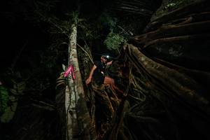 BIB: 
                            <button type="button" onclick="openModal(28097398)" class="btn btn-primary btn-sm float-right btn-popup" data-toggle="modal" data-target=".modal-high-quality">
                        <i class="fas fa-shopping-cart"></i> Add to Cart
                    </button>
                                            <button type="button" onclick="isThisMe(28097398, true)" class="btn btn-success btn-sm float-right btn-popup btn-isme hidden" data-toggle="tooltip" data-placement="bottom" title="นี่คือรูปของคุณใช่ไหม คลิกที่นี่เพื่อเอาเข้าอัลบั้ม">
                        <i class="fas fa-plus"></i> Add to album
                    </button>
                    <button type="button" onclick="isThisMe(28097398, false)" class="btn btn-warning btn-sm float-right btn-popup btn-isnotme hidden">
                        <i class="fas fa-ban"></i> Remove from album
                    </button>