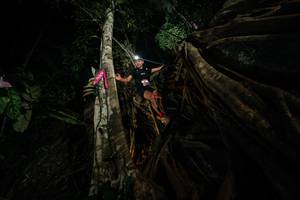 BIB: 
                            <button type="button" onclick="openModal(28097383)" class="btn btn-primary btn-sm float-right btn-popup" data-toggle="modal" data-target=".modal-high-quality">
                        <i class="fas fa-shopping-cart"></i> Add to Cart
                    </button>
                                            <button type="button" onclick="isThisMe(28097383, true)" class="btn btn-success btn-sm float-right btn-popup btn-isme hidden" data-toggle="tooltip" data-placement="bottom" title="นี่คือรูปของคุณใช่ไหม คลิกที่นี่เพื่อเอาเข้าอัลบั้ม">
                        <i class="fas fa-plus"></i> Add to album
                    </button>
                    <button type="button" onclick="isThisMe(28097383, false)" class="btn btn-warning btn-sm float-right btn-popup btn-isnotme hidden">
                        <i class="fas fa-ban"></i> Remove from album
                    </button>