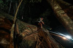 BIB: 
                            <button type="button" onclick="openModal(28097091)" class="btn btn-primary btn-sm float-right btn-popup" data-toggle="modal" data-target=".modal-high-quality">
                        <i class="fas fa-shopping-cart"></i> Add to Cart
                    </button>
                                            <button type="button" onclick="isThisMe(28097091, true)" class="btn btn-success btn-sm float-right btn-popup btn-isme hidden" data-toggle="tooltip" data-placement="bottom" title="นี่คือรูปของคุณใช่ไหม คลิกที่นี่เพื่อเอาเข้าอัลบั้ม">
                        <i class="fas fa-plus"></i> Add to album
                    </button>
                    <button type="button" onclick="isThisMe(28097091, false)" class="btn btn-warning btn-sm float-right btn-popup btn-isnotme hidden">
                        <i class="fas fa-ban"></i> Remove from album
                    </button>