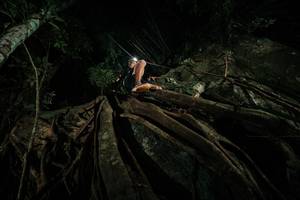 BIB: 
                            <button type="button" onclick="openModal(28097030)" class="btn btn-primary btn-sm float-right btn-popup" data-toggle="modal" data-target=".modal-high-quality">
                        <i class="fas fa-shopping-cart"></i> Add to Cart
                    </button>
                                            <button type="button" onclick="isThisMe(28097030, true)" class="btn btn-success btn-sm float-right btn-popup btn-isme hidden" data-toggle="tooltip" data-placement="bottom" title="นี่คือรูปของคุณใช่ไหม คลิกที่นี่เพื่อเอาเข้าอัลบั้ม">
                        <i class="fas fa-plus"></i> Add to album
                    </button>
                    <button type="button" onclick="isThisMe(28097030, false)" class="btn btn-warning btn-sm float-right btn-popup btn-isnotme hidden">
                        <i class="fas fa-ban"></i> Remove from album
                    </button>