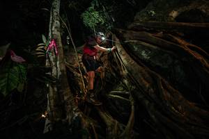 BIB: 
                            <button type="button" onclick="openModal(28097191)" class="btn btn-primary btn-sm float-right btn-popup" data-toggle="modal" data-target=".modal-high-quality">
                        <i class="fas fa-shopping-cart"></i> Add to Cart
                    </button>
                                            <button type="button" onclick="isThisMe(28097191, true)" class="btn btn-success btn-sm float-right btn-popup btn-isme hidden" data-toggle="tooltip" data-placement="bottom" title="นี่คือรูปของคุณใช่ไหม คลิกที่นี่เพื่อเอาเข้าอัลบั้ม">
                        <i class="fas fa-plus"></i> Add to album
                    </button>
                    <button type="button" onclick="isThisMe(28097191, false)" class="btn btn-warning btn-sm float-right btn-popup btn-isnotme hidden">
                        <i class="fas fa-ban"></i> Remove from album
                    </button>