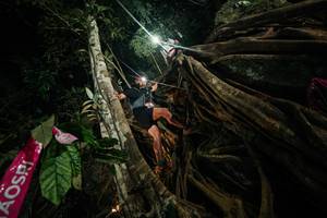 BIB: 
                            <button type="button" onclick="openModal(28097490)" class="btn btn-primary btn-sm float-right btn-popup" data-toggle="modal" data-target=".modal-high-quality">
                        <i class="fas fa-shopping-cart"></i> Add to Cart
                    </button>
                                            <button type="button" onclick="isThisMe(28097490, true)" class="btn btn-success btn-sm float-right btn-popup btn-isme hidden" data-toggle="tooltip" data-placement="bottom" title="นี่คือรูปของคุณใช่ไหม คลิกที่นี่เพื่อเอาเข้าอัลบั้ม">
                        <i class="fas fa-plus"></i> Add to album
                    </button>
                    <button type="button" onclick="isThisMe(28097490, false)" class="btn btn-warning btn-sm float-right btn-popup btn-isnotme hidden">
                        <i class="fas fa-ban"></i> Remove from album
                    </button>