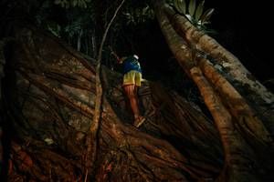 BIB: 
                            <button type="button" onclick="openModal(28097448)" class="btn btn-primary btn-sm float-right btn-popup" data-toggle="modal" data-target=".modal-high-quality">
                        <i class="fas fa-shopping-cart"></i> Add to Cart
                    </button>
                                            <button type="button" onclick="isThisMe(28097448, true)" class="btn btn-success btn-sm float-right btn-popup btn-isme hidden" data-toggle="tooltip" data-placement="bottom" title="นี่คือรูปของคุณใช่ไหม คลิกที่นี่เพื่อเอาเข้าอัลบั้ม">
                        <i class="fas fa-plus"></i> Add to album
                    </button>
                    <button type="button" onclick="isThisMe(28097448, false)" class="btn btn-warning btn-sm float-right btn-popup btn-isnotme hidden">
                        <i class="fas fa-ban"></i> Remove from album
                    </button>