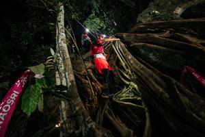 BIB: 
                            <button type="button" onclick="openModal(28097599)" class="btn btn-primary btn-sm float-right btn-popup" data-toggle="modal" data-target=".modal-high-quality">
                        <i class="fas fa-shopping-cart"></i> Add to Cart
                    </button>
                                            <button type="button" onclick="isThisMe(28097599, true)" class="btn btn-success btn-sm float-right btn-popup btn-isme hidden" data-toggle="tooltip" data-placement="bottom" title="นี่คือรูปของคุณใช่ไหม คลิกที่นี่เพื่อเอาเข้าอัลบั้ม">
                        <i class="fas fa-plus"></i> Add to album
                    </button>
                    <button type="button" onclick="isThisMe(28097599, false)" class="btn btn-warning btn-sm float-right btn-popup btn-isnotme hidden">
                        <i class="fas fa-ban"></i> Remove from album
                    </button>