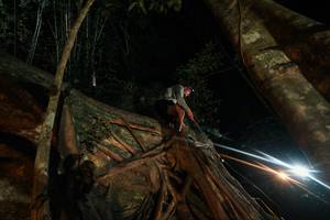 BIB: 
                            <button type="button" onclick="openModal(28097094)" class="btn btn-primary btn-sm float-right btn-popup" data-toggle="modal" data-target=".modal-high-quality">
                        <i class="fas fa-shopping-cart"></i> Add to Cart
                    </button>
                                            <button type="button" onclick="isThisMe(28097094, true)" class="btn btn-success btn-sm float-right btn-popup btn-isme hidden" data-toggle="tooltip" data-placement="bottom" title="นี่คือรูปของคุณใช่ไหม คลิกที่นี่เพื่อเอาเข้าอัลบั้ม">
                        <i class="fas fa-plus"></i> Add to album
                    </button>
                    <button type="button" onclick="isThisMe(28097094, false)" class="btn btn-warning btn-sm float-right btn-popup btn-isnotme hidden">
                        <i class="fas fa-ban"></i> Remove from album
                    </button>