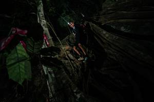 BIB: 
                            <button type="button" onclick="openModal(28096973)" class="btn btn-primary btn-sm float-right btn-popup" data-toggle="modal" data-target=".modal-high-quality">
                        <i class="fas fa-shopping-cart"></i> Add to Cart
                    </button>
                                            <button type="button" onclick="isThisMe(28096973, true)" class="btn btn-success btn-sm float-right btn-popup btn-isme hidden" data-toggle="tooltip" data-placement="bottom" title="นี่คือรูปของคุณใช่ไหม คลิกที่นี่เพื่อเอาเข้าอัลบั้ม">
                        <i class="fas fa-plus"></i> Add to album
                    </button>
                    <button type="button" onclick="isThisMe(28096973, false)" class="btn btn-warning btn-sm float-right btn-popup btn-isnotme hidden">
                        <i class="fas fa-ban"></i> Remove from album
                    </button>