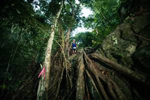 BIB: 
                            <button type="button" onclick="openModal(28096731)" class="btn btn-primary btn-sm float-right btn-popup" data-toggle="modal" data-target=".modal-high-quality">
                        <i class="fas fa-shopping-cart"></i> Add to Cart
                    </button>
                                            <button type="button" onclick="isThisMe(28096731, true)" class="btn btn-success btn-sm float-right btn-popup btn-isme hidden" data-toggle="tooltip" data-placement="bottom" title="นี่คือรูปของคุณใช่ไหม คลิกที่นี่เพื่อเอาเข้าอัลบั้ม">
                        <i class="fas fa-plus"></i> Add to album
                    </button>
                    <button type="button" onclick="isThisMe(28096731, false)" class="btn btn-warning btn-sm float-right btn-popup btn-isnotme hidden">
                        <i class="fas fa-ban"></i> Remove from album
                    </button>