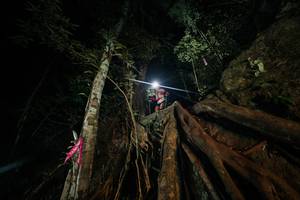 BIB: 
                            <button type="button" onclick="openModal(28097050)" class="btn btn-primary btn-sm float-right btn-popup" data-toggle="modal" data-target=".modal-high-quality">
                        <i class="fas fa-shopping-cart"></i> Add to Cart
                    </button>
                                            <button type="button" onclick="isThisMe(28097050, true)" class="btn btn-success btn-sm float-right btn-popup btn-isme hidden" data-toggle="tooltip" data-placement="bottom" title="นี่คือรูปของคุณใช่ไหม คลิกที่นี่เพื่อเอาเข้าอัลบั้ม">
                        <i class="fas fa-plus"></i> Add to album
                    </button>
                    <button type="button" onclick="isThisMe(28097050, false)" class="btn btn-warning btn-sm float-right btn-popup btn-isnotme hidden">
                        <i class="fas fa-ban"></i> Remove from album
                    </button>