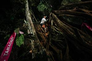 BIB: 
                            <button type="button" onclick="openModal(28097507)" class="btn btn-primary btn-sm float-right btn-popup" data-toggle="modal" data-target=".modal-high-quality">
                        <i class="fas fa-shopping-cart"></i> Add to Cart
                    </button>
                                            <button type="button" onclick="isThisMe(28097507, true)" class="btn btn-success btn-sm float-right btn-popup btn-isme hidden" data-toggle="tooltip" data-placement="bottom" title="นี่คือรูปของคุณใช่ไหม คลิกที่นี่เพื่อเอาเข้าอัลบั้ม">
                        <i class="fas fa-plus"></i> Add to album
                    </button>
                    <button type="button" onclick="isThisMe(28097507, false)" class="btn btn-warning btn-sm float-right btn-popup btn-isnotme hidden">
                        <i class="fas fa-ban"></i> Remove from album
                    </button>