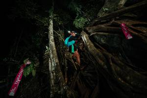 BIB: 
                            <button type="button" onclick="openModal(28098468)" class="btn btn-primary btn-sm float-right btn-popup" data-toggle="modal" data-target=".modal-high-quality">
                        <i class="fas fa-shopping-cart"></i> Add to Cart
                    </button>
                                            <button type="button" onclick="isThisMe(28098468, true)" class="btn btn-success btn-sm float-right btn-popup btn-isme hidden" data-toggle="tooltip" data-placement="bottom" title="นี่คือรูปของคุณใช่ไหม คลิกที่นี่เพื่อเอาเข้าอัลบั้ม">
                        <i class="fas fa-plus"></i> Add to album
                    </button>
                    <button type="button" onclick="isThisMe(28098468, false)" class="btn btn-warning btn-sm float-right btn-popup btn-isnotme hidden">
                        <i class="fas fa-ban"></i> Remove from album
                    </button>