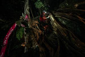 BIB: 
                            <button type="button" onclick="openModal(28097210)" class="btn btn-primary btn-sm float-right btn-popup" data-toggle="modal" data-target=".modal-high-quality">
                        <i class="fas fa-shopping-cart"></i> Add to Cart
                    </button>
                                            <button type="button" onclick="isThisMe(28097210, true)" class="btn btn-success btn-sm float-right btn-popup btn-isme hidden" data-toggle="tooltip" data-placement="bottom" title="นี่คือรูปของคุณใช่ไหม คลิกที่นี่เพื่อเอาเข้าอัลบั้ม">
                        <i class="fas fa-plus"></i> Add to album
                    </button>
                    <button type="button" onclick="isThisMe(28097210, false)" class="btn btn-warning btn-sm float-right btn-popup btn-isnotme hidden">
                        <i class="fas fa-ban"></i> Remove from album
                    </button>