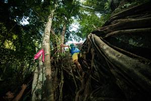 BIB: 
                            <button type="button" onclick="openModal(28096708)" class="btn btn-primary btn-sm float-right btn-popup" data-toggle="modal" data-target=".modal-high-quality">
                        <i class="fas fa-shopping-cart"></i> Add to Cart
                    </button>
                                            <button type="button" onclick="isThisMe(28096708, true)" class="btn btn-success btn-sm float-right btn-popup btn-isme hidden" data-toggle="tooltip" data-placement="bottom" title="นี่คือรูปของคุณใช่ไหม คลิกที่นี่เพื่อเอาเข้าอัลบั้ม">
                        <i class="fas fa-plus"></i> Add to album
                    </button>
                    <button type="button" onclick="isThisMe(28096708, false)" class="btn btn-warning btn-sm float-right btn-popup btn-isnotme hidden">
                        <i class="fas fa-ban"></i> Remove from album
                    </button>