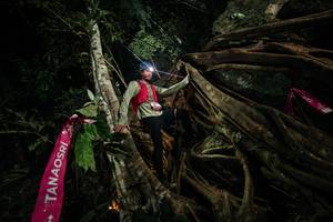 BIB: 
                            <button type="button" onclick="openModal(28097615)" class="btn btn-primary btn-sm float-right btn-popup" data-toggle="modal" data-target=".modal-high-quality">
                        <i class="fas fa-shopping-cart"></i> Add to Cart
                    </button>
                                            <button type="button" onclick="isThisMe(28097615, true)" class="btn btn-success btn-sm float-right btn-popup btn-isme hidden" data-toggle="tooltip" data-placement="bottom" title="นี่คือรูปของคุณใช่ไหม คลิกที่นี่เพื่อเอาเข้าอัลบั้ม">
                        <i class="fas fa-plus"></i> Add to album
                    </button>
                    <button type="button" onclick="isThisMe(28097615, false)" class="btn btn-warning btn-sm float-right btn-popup btn-isnotme hidden">
                        <i class="fas fa-ban"></i> Remove from album
                    </button>