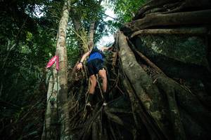 BIB: 
                            <button type="button" onclick="openModal(28096738)" class="btn btn-primary btn-sm float-right btn-popup" data-toggle="modal" data-target=".modal-high-quality">
                        <i class="fas fa-shopping-cart"></i> Add to Cart
                    </button>
                                            <button type="button" onclick="isThisMe(28096738, true)" class="btn btn-success btn-sm float-right btn-popup btn-isme hidden" data-toggle="tooltip" data-placement="bottom" title="นี่คือรูปของคุณใช่ไหม คลิกที่นี่เพื่อเอาเข้าอัลบั้ม">
                        <i class="fas fa-plus"></i> Add to album
                    </button>
                    <button type="button" onclick="isThisMe(28096738, false)" class="btn btn-warning btn-sm float-right btn-popup btn-isnotme hidden">
                        <i class="fas fa-ban"></i> Remove from album
                    </button>