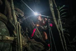 BIB: 
                            <button type="button" onclick="openModal(28100467)" class="btn btn-primary btn-sm float-right btn-popup" data-toggle="modal" data-target=".modal-high-quality">
                        <i class="fas fa-shopping-cart"></i> Add to Cart
                    </button>
                                            <button type="button" onclick="isThisMe(28100467, true)" class="btn btn-success btn-sm float-right btn-popup btn-isme hidden" data-toggle="tooltip" data-placement="bottom" title="นี่คือรูปของคุณใช่ไหม คลิกที่นี่เพื่อเอาเข้าอัลบั้ม">
                        <i class="fas fa-plus"></i> Add to album
                    </button>
                    <button type="button" onclick="isThisMe(28100467, false)" class="btn btn-warning btn-sm float-right btn-popup btn-isnotme hidden">
                        <i class="fas fa-ban"></i> Remove from album
                    </button>