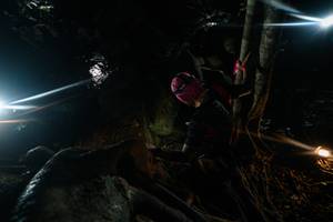 BIB: 
                            <button type="button" onclick="openModal(28097209)" class="btn btn-primary btn-sm float-right btn-popup" data-toggle="modal" data-target=".modal-high-quality">
                        <i class="fas fa-shopping-cart"></i> Add to Cart
                    </button>
                                            <button type="button" onclick="isThisMe(28097209, true)" class="btn btn-success btn-sm float-right btn-popup btn-isme hidden" data-toggle="tooltip" data-placement="bottom" title="นี่คือรูปของคุณใช่ไหม คลิกที่นี่เพื่อเอาเข้าอัลบั้ม">
                        <i class="fas fa-plus"></i> Add to album
                    </button>
                    <button type="button" onclick="isThisMe(28097209, false)" class="btn btn-warning btn-sm float-right btn-popup btn-isnotme hidden">
                        <i class="fas fa-ban"></i> Remove from album
                    </button>