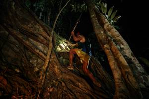 BIB: 
                            <button type="button" onclick="openModal(28097455)" class="btn btn-primary btn-sm float-right btn-popup" data-toggle="modal" data-target=".modal-high-quality">
                        <i class="fas fa-shopping-cart"></i> Add to Cart
                    </button>
                                            <button type="button" onclick="isThisMe(28097455, true)" class="btn btn-success btn-sm float-right btn-popup btn-isme hidden" data-toggle="tooltip" data-placement="bottom" title="นี่คือรูปของคุณใช่ไหม คลิกที่นี่เพื่อเอาเข้าอัลบั้ม">
                        <i class="fas fa-plus"></i> Add to album
                    </button>
                    <button type="button" onclick="isThisMe(28097455, false)" class="btn btn-warning btn-sm float-right btn-popup btn-isnotme hidden">
                        <i class="fas fa-ban"></i> Remove from album
                    </button>