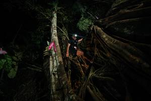 BIB: 
                            <button type="button" onclick="openModal(28097397)" class="btn btn-primary btn-sm float-right btn-popup" data-toggle="modal" data-target=".modal-high-quality">
                        <i class="fas fa-shopping-cart"></i> Add to Cart
                    </button>
                                            <button type="button" onclick="isThisMe(28097397, true)" class="btn btn-success btn-sm float-right btn-popup btn-isme hidden" data-toggle="tooltip" data-placement="bottom" title="นี่คือรูปของคุณใช่ไหม คลิกที่นี่เพื่อเอาเข้าอัลบั้ม">
                        <i class="fas fa-plus"></i> Add to album
                    </button>
                    <button type="button" onclick="isThisMe(28097397, false)" class="btn btn-warning btn-sm float-right btn-popup btn-isnotme hidden">
                        <i class="fas fa-ban"></i> Remove from album
                    </button>