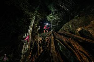 BIB: 
                            <button type="button" onclick="openModal(28097052)" class="btn btn-primary btn-sm float-right btn-popup" data-toggle="modal" data-target=".modal-high-quality">
                        <i class="fas fa-shopping-cart"></i> Add to Cart
                    </button>
                                            <button type="button" onclick="isThisMe(28097052, true)" class="btn btn-success btn-sm float-right btn-popup btn-isme hidden" data-toggle="tooltip" data-placement="bottom" title="นี่คือรูปของคุณใช่ไหม คลิกที่นี่เพื่อเอาเข้าอัลบั้ม">
                        <i class="fas fa-plus"></i> Add to album
                    </button>
                    <button type="button" onclick="isThisMe(28097052, false)" class="btn btn-warning btn-sm float-right btn-popup btn-isnotme hidden">
                        <i class="fas fa-ban"></i> Remove from album
                    </button>