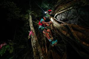 BIB: 
                            <button type="button" onclick="openModal(28097157)" class="btn btn-primary btn-sm float-right btn-popup" data-toggle="modal" data-target=".modal-high-quality">
                        <i class="fas fa-shopping-cart"></i> Add to Cart
                    </button>
                                            <button type="button" onclick="isThisMe(28097157, true)" class="btn btn-success btn-sm float-right btn-popup btn-isme hidden" data-toggle="tooltip" data-placement="bottom" title="นี่คือรูปของคุณใช่ไหม คลิกที่นี่เพื่อเอาเข้าอัลบั้ม">
                        <i class="fas fa-plus"></i> Add to album
                    </button>
                    <button type="button" onclick="isThisMe(28097157, false)" class="btn btn-warning btn-sm float-right btn-popup btn-isnotme hidden">
                        <i class="fas fa-ban"></i> Remove from album
                    </button>