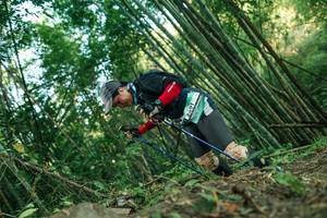 BIB: 
                            <button type="button" onclick="openModal(28114348)" class="btn btn-primary btn-sm float-right btn-popup" data-toggle="modal" data-target=".modal-high-quality">
                        <i class="fas fa-shopping-cart"></i> Add to Cart
                    </button>
                                            <button type="button" onclick="isThisMe(28114348, true)" class="btn btn-success btn-sm float-right btn-popup btn-isme hidden" data-toggle="tooltip" data-placement="bottom" title="นี่คือรูปของคุณใช่ไหม คลิกที่นี่เพื่อเอาเข้าอัลบั้ม">
                        <i class="fas fa-plus"></i> Add to album
                    </button>
                    <button type="button" onclick="isThisMe(28114348, false)" class="btn btn-warning btn-sm float-right btn-popup btn-isnotme hidden">
                        <i class="fas fa-ban"></i> Remove from album
                    </button>